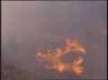 Video: [News Clip: Vacaville fire]
