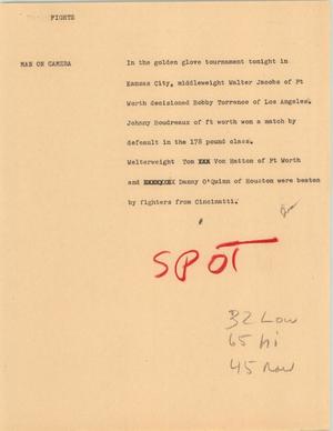 Primary view of object titled '[News Script: Fights]'.