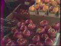 Video: [News Clip: Farmer's market]
