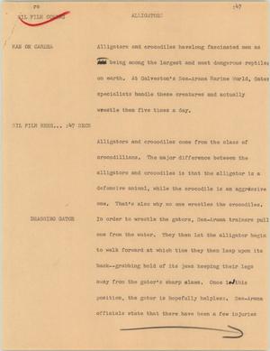 Primary view of object titled '[News Script: Alligators]'.