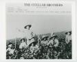Photograph: [The Cuellar brothers hoeing cotton]