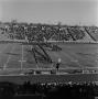Primary view of [NT marching band on the football field]