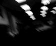 Photograph: [Blurred photograph of ceiling lights, 2]