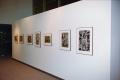 Primary view of [Photograph of an African gallery wall, featuring seven abstract art works]