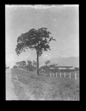 Primary view of object titled '[Farmland in Mexico]'.