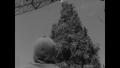 Video: [News Clip: Texas Tallest Christmas Tree]