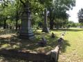 Photograph: [Garitty and Jester family plots at Oakwood Cemetery]