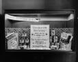 Photograph: [Photograph of Campbell's window display]