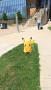Photograph: [Pikachu outside of Business Leadership Building]