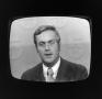 Photograph: [Reporter appearing on a television screen]