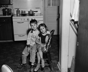 Primary view of object titled '[Photograph of Byrd IV and Pam Williams posing in a kitchen, 3]'.