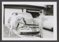 Photograph: [Photograph of two teenage boys by a wrecked automobile]