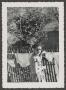 Photograph: [Photograph of Doris Stiles Williams hanging clothes on a line]