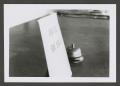 Photograph: [Photograph of a call bell and a sign on a counter]