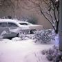 Photograph: [Parked cars covered in snow]