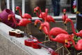Photograph: [Plastic flamingos and decorations]