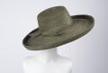 Primary view of Picture hat