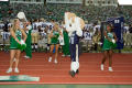 Photograph: [Bill the Goat at UNT vs. Navy game, 2007]