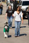 Photograph: [Husky walking in Homecoming Parade, 2007]