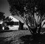 Photograph: [A yard and a house]