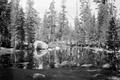 Photograph: [A pond at Yosemite National Park]