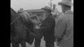 Video: [News Clip: Hickman Forsakes Horse for Copter]