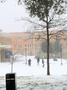 Photograph: [Snow day on University of North Texas (UNT) campus snowball fight]