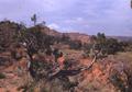 Primary view of [A view at the Palo Duro Canyon, 6]