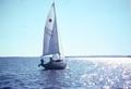 Photograph: [Man navigating his sailboat, 2]