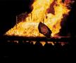 Photograph: [UNT 2004 Homecoming bonfire]