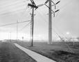 Photograph: [Photograph of a sidewalk and utility poles]