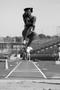 Photograph: [Brandi Stanfield performs triple jump, 1]