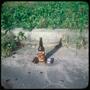 Photograph: [A bottle and cigars near a curb in Salvador]