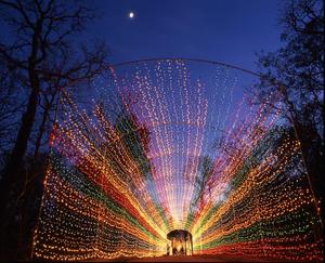 Primary view of object titled '[Santa Land Tunnel of Lights]'.