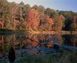 Photograph: [Daingerfield State Park Lake during autumn]