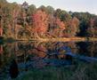 Photograph: [Daingerfield State Park Lake during autumn, 2]
