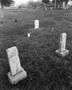 Primary view of [Two baby graves on the edge of a cemetery]