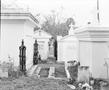 Photograph: [White mausoleums in Brownsville Mexico]