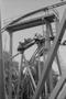 Primary view of [An amusement ride with passengers riding down tracks at Six Flags Over Texas in Arlington]