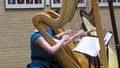 Photograph: [HarpBeats perform at "Music at Noon" event, closeup 1]