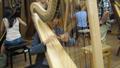 Photograph: [A girl and two other kids playing harps]