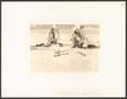 Photograph: [Two snake charmers playing the pungi]