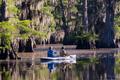 Photograph: [Serene Kayaking Journey through Caddo Lake's Bald Cypress Trees]