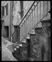Photograph: [Italy Bannister Steps, 2000]