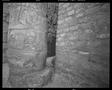 Photograph: [Egypt Large Ruins & Columns, 2001]