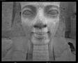 Photograph: [Egyptian Sphinx Head, 2001]