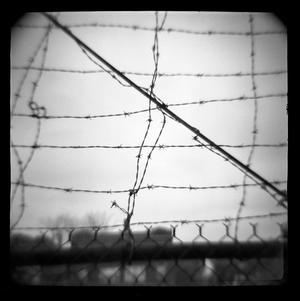 Primary view of object titled '[Barbed Wire, 1978]'.