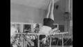 Primary view of [News Clip: Sokol gymnasts give exhibition]