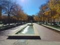 Photograph: [Library Mall fountains in front of Willis Library]