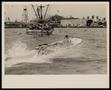 Photograph: [Man Driving Speed Boat, 3]